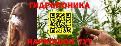 мдпв Бердск